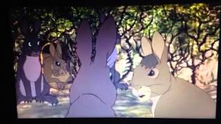 Watership down 1978 clip 6 bigwig meets general woundwort [upl. by Torray]