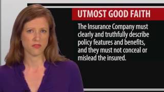 3 Legal Concepts of the Insurance Contract [upl. by Malek]