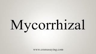 How To Say Mycorrhizal [upl. by Korwin288]