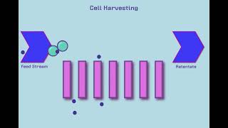 Introduction to Tangential Flow Filtration TFF [upl. by Zullo]