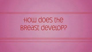 Breast Biologues Ch 2 How Does the Breast Develop [upl. by Bailey684]