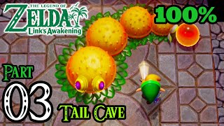 Zelda Links Awakening Walkthrough 100 Switch  Part 3  Tail Cave  Level 1  Moldorm Boss [upl. by Johnny]