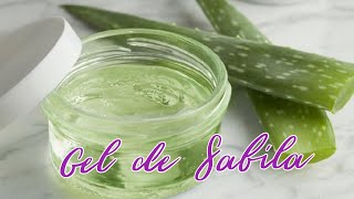 Gel de Sabila  Aloe Vera 🌵 Como se Conservar el gel de SABILA [upl. by Aker]