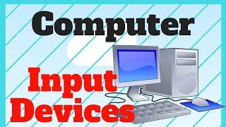 Computer Input Devices  with Examples [upl. by Ecirted987]