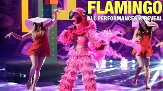 The Masked Singer Flamingo All Clues Performances amp Reveal [upl. by Anived]