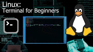 Kali Linux Terminal  Command Line for Beginners Tutorial [upl. by Yelsnit]