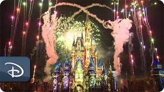 Happily Ever After Fireworks at Magic Kingdom  Walt Disney World [upl. by Aynot436]