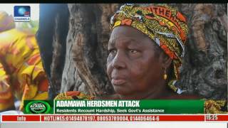 News Across Nigeria Herdsmen Attack Victims In Adamawa Recount Hardship [upl. by Elboa]