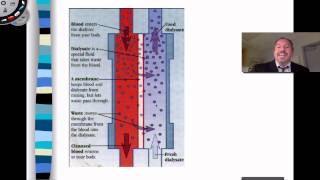 Hemo and Peritoneal Dialysis [upl. by Alleon]