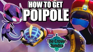 How to Unlock POIPOLE amp Evolve into Naganadel in Crown Tundra [upl. by Norwood756]