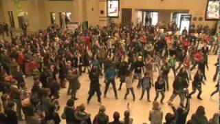 FLASHMOB  central station in BRUSSELS Belgium [upl. by Ilarrold]