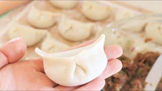 How to Make Chinese Dumplings From Scratch [upl. by Kristi628]