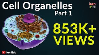 Cell Organelles  Part 1  Animation Video  Iken Edu [upl. by Templas]