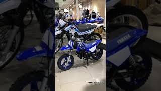 50cc Dirt Bike Yamaha PW50 [upl. by Toft904]