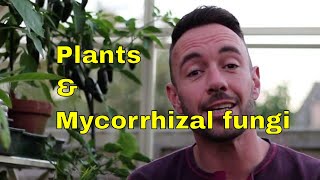 Mycorrhizal fungi and plant evolution [upl. by Ihcur]