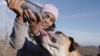 LifeStraw Flex with Collapsible Squeeze Bottle [upl. by Novahs]