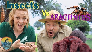 Insects And Arachnids for Kids  Educational Videos for Kids [upl. by Pederson]