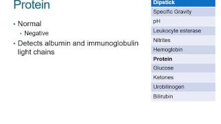 How to Read a Urinalysis Result [upl. by Eibber146]