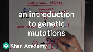 An introduction to genetic mutations  Biomolecules  MCAT  Khan Academy [upl. by Ocker964]