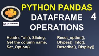 Python Pandas Tutorial  Pandas DataFrame Operations 4 [upl. by Zerep]