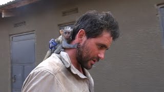 Baby Vervet Monkey Rescued from African Brush Fire [upl. by Ivel]