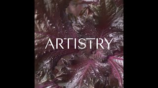 Meet the Artistry™ Brand  Skin Nutrition  Amway [upl. by Balthazar]