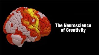 The Neuroscience of Creativity [upl. by Nais]