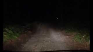 Man Encounters Deer With Human Face [upl. by Anieral217]