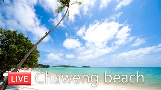 🔴 Livestream Chaweng beach Koh Samui  Virtual Walking tour  Streets of Thailand [upl. by Ramedlab]