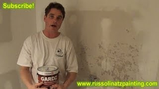 Apply Zinsser Gardz PrimerSealer to New Drywall  Drywall repair and protection Part 1 [upl. by Oirretna]