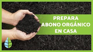 Cómo hacer ABONO ORGÁNICO CASERO paso a paso🌱  Mejores fertilizantes caseros 🍌 [upl. by Jermain942]