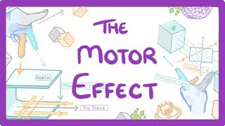 GCSE Physics  Motor Effect [upl. by Hsakaa]