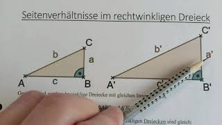 Seitenverhältnisse in rechtwinkligen Dreiecken [upl. by Ylak524]