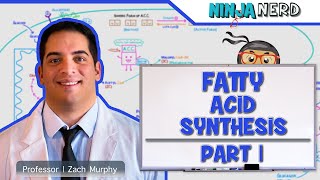 Metabolism  Fatty Acid Synthesis Part 1 [upl. by Nodyarb]