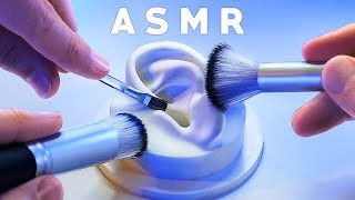 ASMR XXL Brushing amp Brushes ONLY Compilation NO TALKING Tingle Study Sleep Relax [upl. by Anelram]