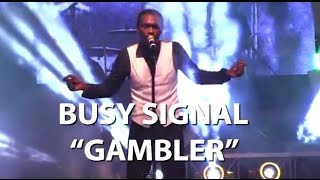 Busy Signal  The Gambler Lyrics [upl. by Lorilee220]