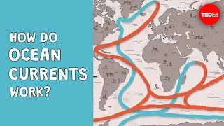 How do ocean currents work  Jennifer Verduin [upl. by February318]