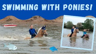 Swimming bareback with ponies My Pony Popcorn goes for a swim  SO FUN  FALL OFF  FOREST RIDE [upl. by Xenos]