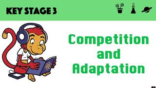 Competition and Adaptation [upl. by Ettenej]