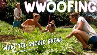 HOW TO WWOOF FOR BEGINNERS  THE BASICS FOR WORK  CHEAP TRAVEL [upl. by Besnard294]