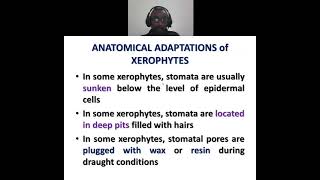 Anatomical adaptations in xerophytes [upl. by Adneral]