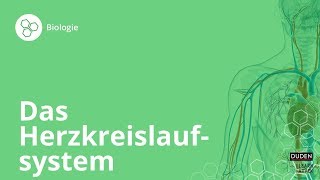 Das Herzkreislaufsystem So funktionierts – Biologie  Duden Learnattack [upl. by Sacks]