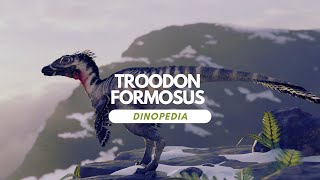 Dinopedia  Troodon formosus [upl. by Ednihek474]