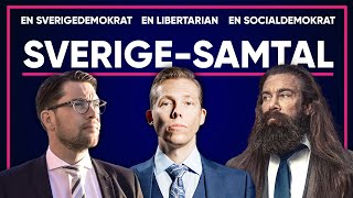 S03  Jimmie Åkesson amp Jan Emanuel Sverigesamtal [upl. by Aivatan669]