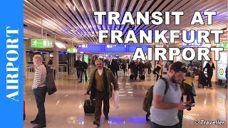 TRANSIT WALK AT FRANKFURT Airport FRA Terminal 1  Connection Flight Transfer Arriving amp Departing [upl. by Ennaear489]