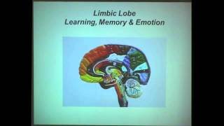 The Neuroscience of Learning and Memory [upl. by Lednyc]