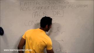 Fatty Acid Synthesis [upl. by Gide]