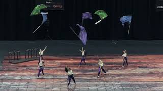 Wiregrass Ranch HS Winterguard 2024 [upl. by Aisatan682]