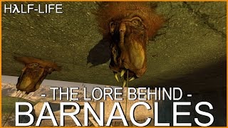 HalfLife The Lore Behind Barnacles [upl. by Alekin]